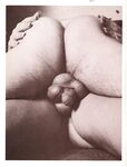 BEST OF GOLDEN BOYS Nr 2 Photos