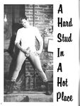 BEST OF MORE THAN 7 INCHES Vol 1 Photos