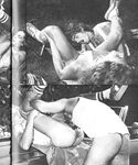 BEST OF NOVA ANNUAL Nr 1 Photos