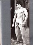 BEST OF NOVA ANNUAL Nr 2 Photos