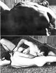 BIG BOSS Photos