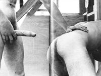 BIG FAT COCKS 1981 Photos