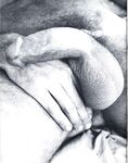 BIG FAT COCKS 1981 Photos