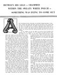 BIG MAN ON CAMPUS Vol 1 Nr 1 Photos