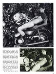 BIKE LOVERS Photos