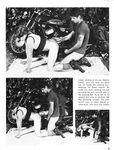 BIKE LOVERS Photos