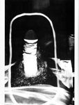 BIZERK 1981 Photos