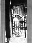 BIZERK 1981 Photos