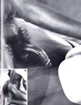 BLACK AND WHITE Nr 2 1982 Photos