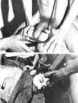 BLACK HEAT Vol 1 Nr 1 Photos