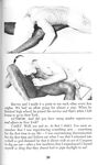 BLACK SEX POWER 1970 Photos