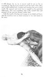 BLACK SEX POWER 1970 Photos