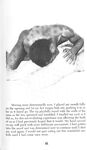 BLACK SEX POWER 1970 Photos