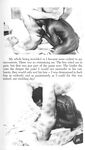 BLACK SEX POWER 1970 Photos