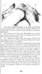 BLACK SEX POWER 1970 Photos