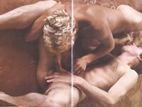 BLOND BULL Photos