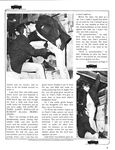 BODY SHOP 1975 Photos