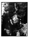 BOOK OF STUDS 1970 Photos