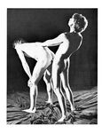 BOOK OF STUDS 1970 Photos
