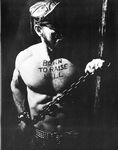 BORN TO RAISE HELL Photos