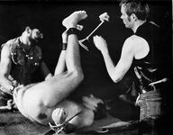 BORN TO RAISE HELL Photos