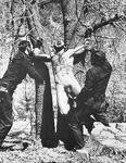 BORN TO RAISE HELL Photos