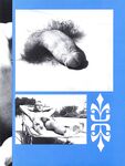 BOY LOVERS Photos