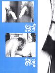 BOY LOVERS Photos