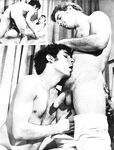 BOY WATCHERS Photos
