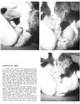 BOYS IN THE BED, THE Photos