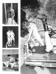 BOYS, THE (300 PHOTO ALBUM) 1986 Photos