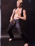 BOYS, THE (300 PHOTO ALBUM) 1986 Photos