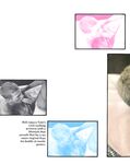 BRENTWOOD FILM REVIEW MAGAZINE Nr 6 Photos
