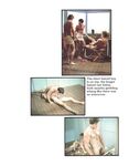 BRENTWOOD FILM REVIEW MAGAZINE Nr 7 Photos