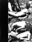 BROOK BUDDIES 1981 Photos