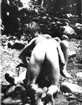 BROOK BUDDIES 1981 Photos