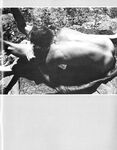 BROOK BUDDIES 1981 Photos