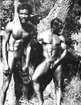 BROTHERS Nr1 1980 Photos