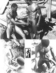 BROTHERS Nr2 1983 Photos