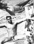 BROTHERS Nr2 1983 Photos