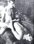 BULLMEAT Photos