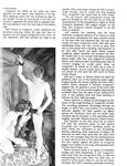 BUNKHOUSE BOYS Photos