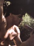 BUSHWACK Photos