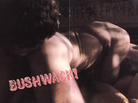 BUSHWACK Photos