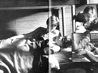 CABIN IN THE WOODS Photos