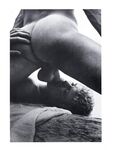 CALIFORNIA COCK Photos
