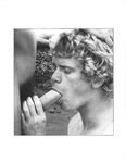CALIFORNIA COCK Photos