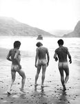 CALIFORNIA COCK Photos