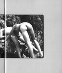 CALIFORNIA COCK Photos