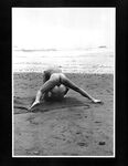 CALIFORNIA COCK Photos
